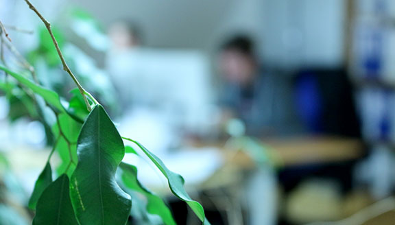 Büro mit Pflanzen im Vordergrund